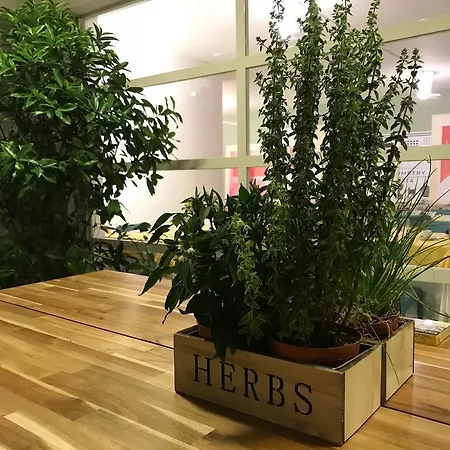 ホテル Esperia 3*